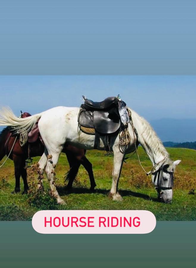 Park flat - B&B Borjomi