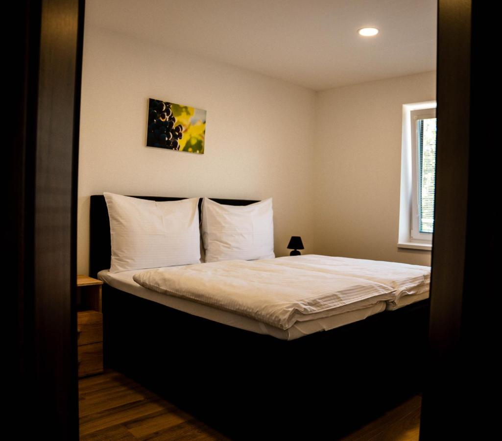 Appartement 1 Chambre avec Terrasse