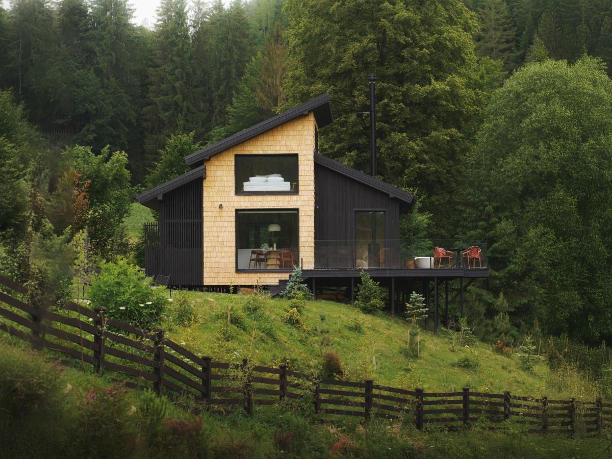 Хатинка в горах - B&B Biloberizka
