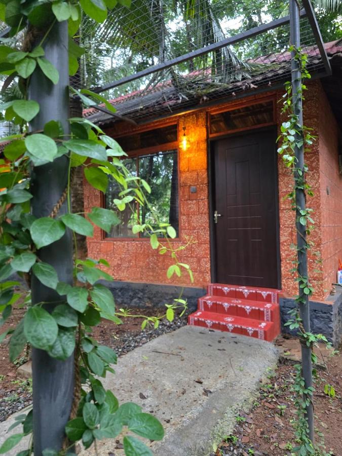 Elysium Vista Home Stay - B&B