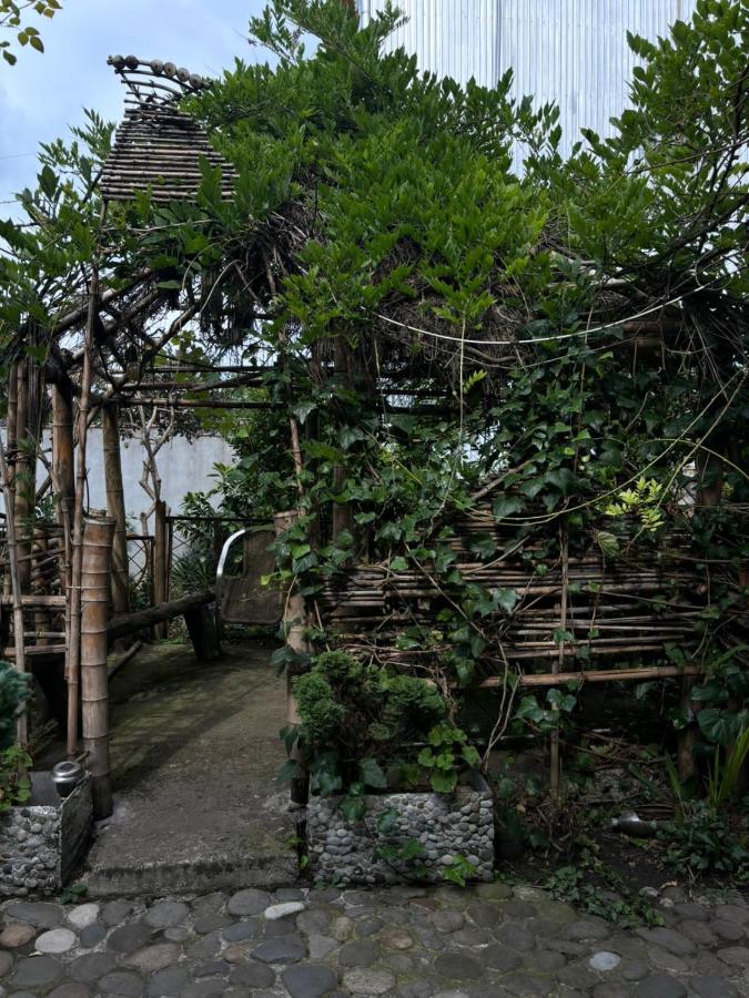 David's house - B&B Batumi