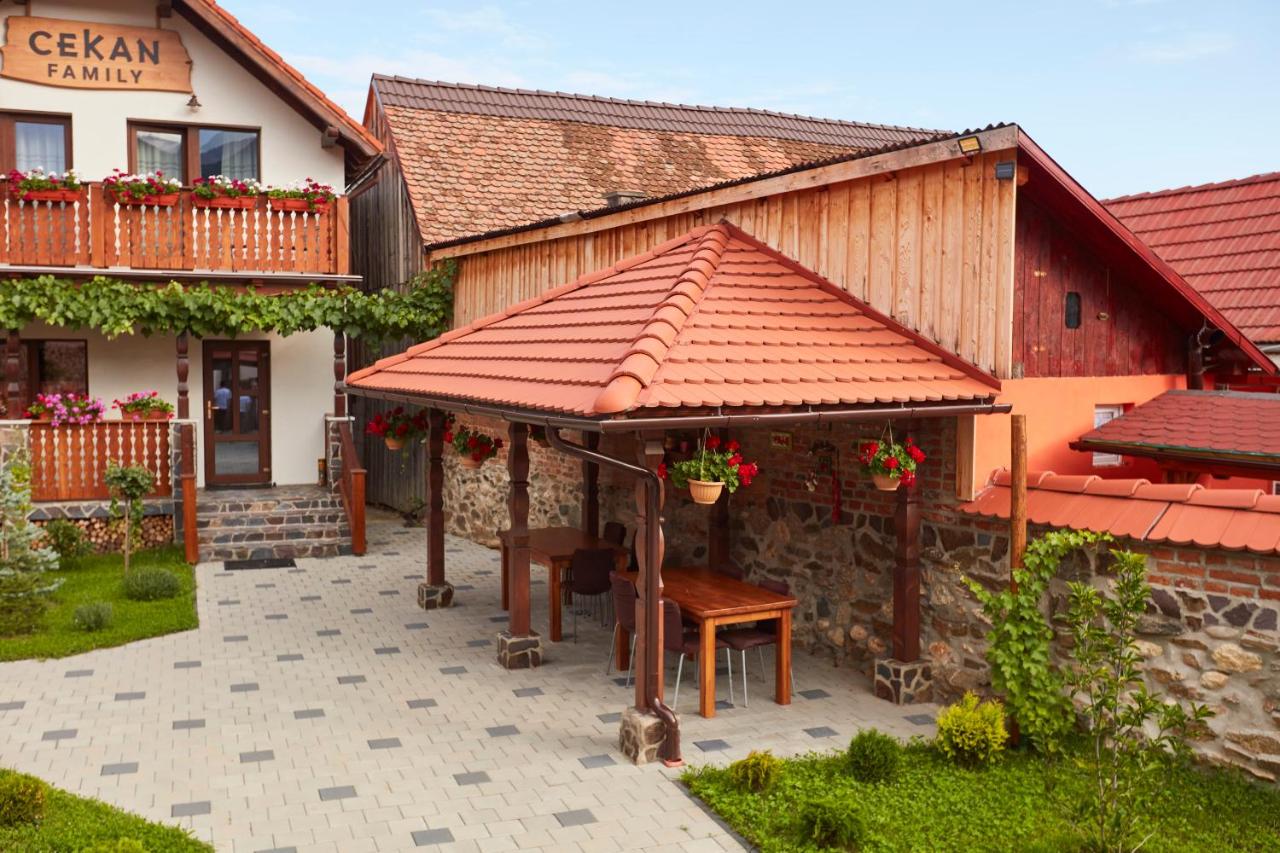 Cekan Family Guest House - Ferienwohnung Gura Râului