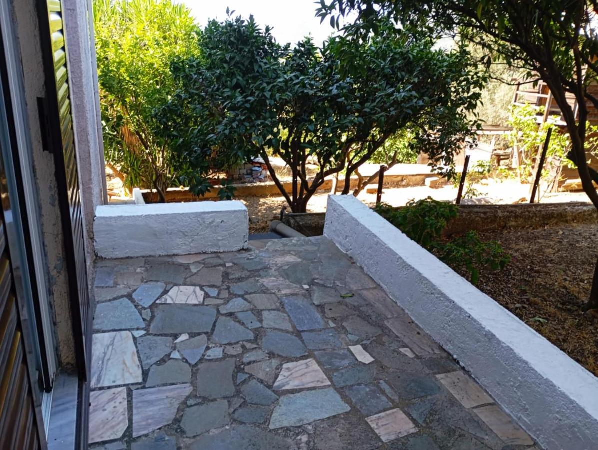 House with fruit trees, olive trees, and sea view 2 - B&B