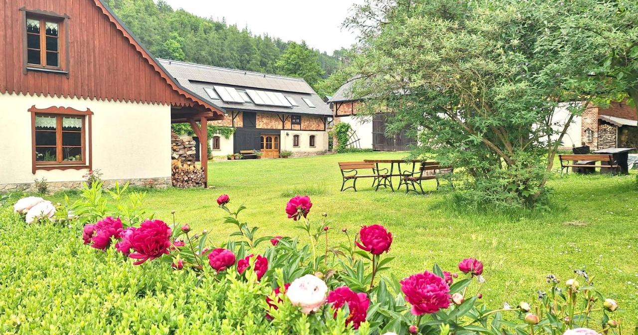 Jesionówka Apartamenty - B&B