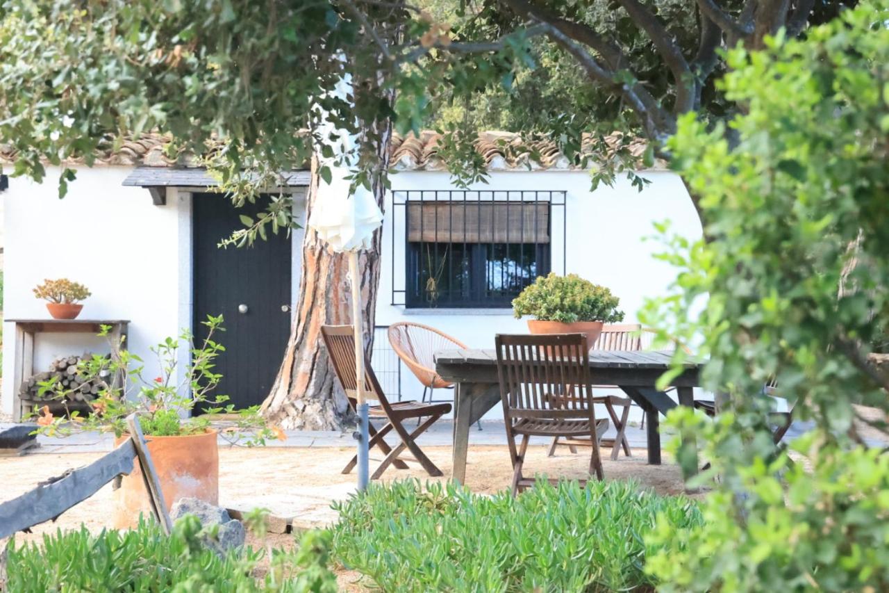 Rustic Guesthouse - Ferienwohnung Sant Andreu de Llavaneres
