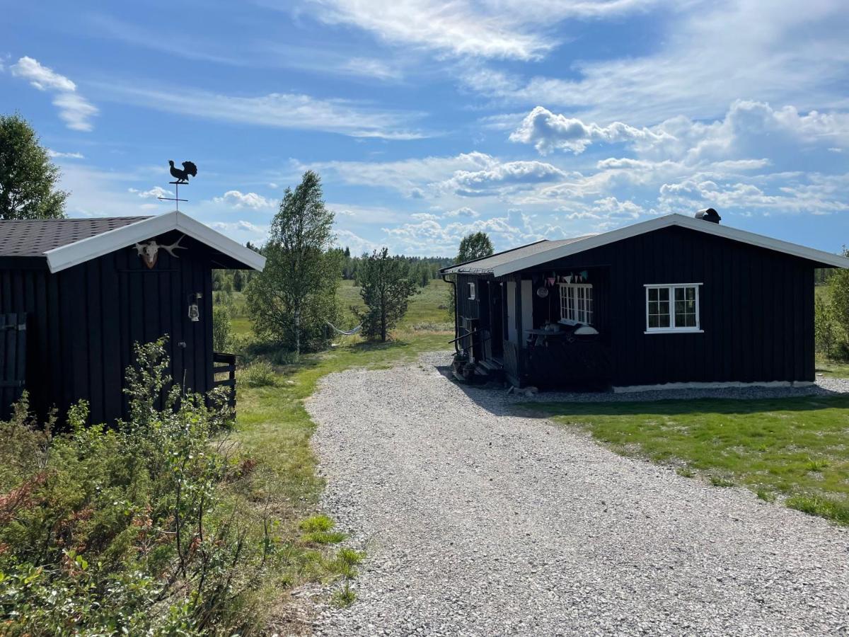 Golsfjellet - B&B Gol