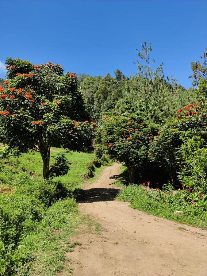 Lone Tree Creek - B&B Vattavadai