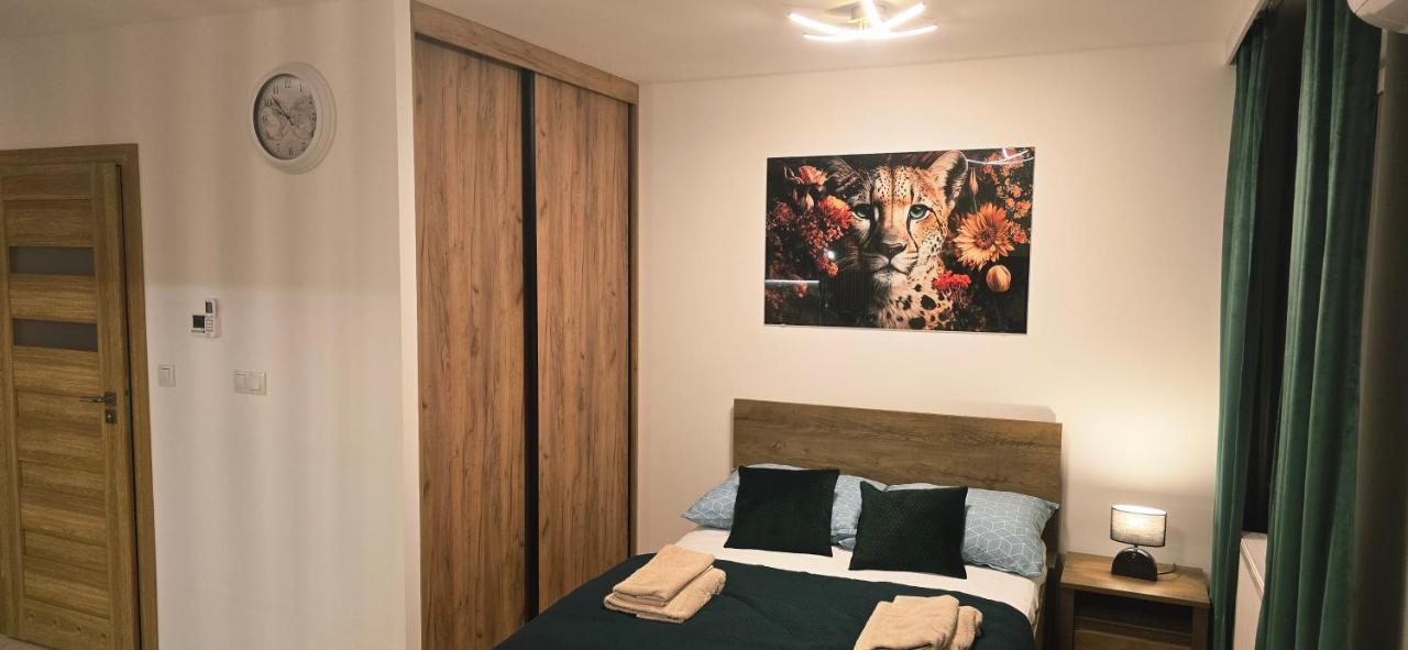 Apartment Maya 69 - B&B Przemyśl