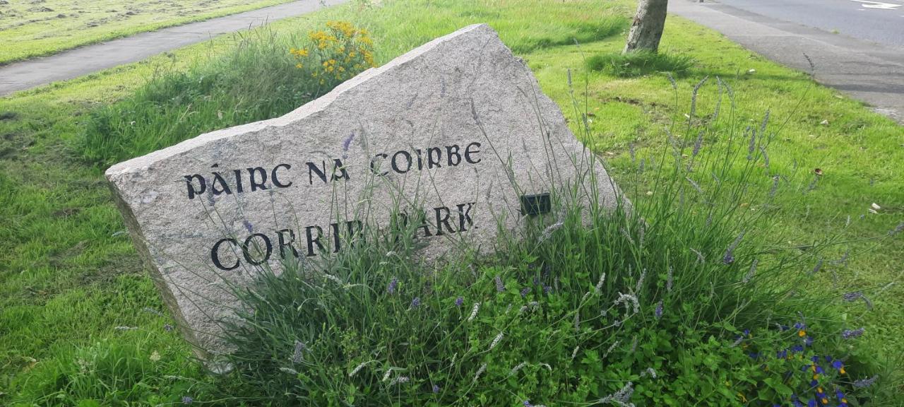 Private bedsit at Newcastle - B&B Galway