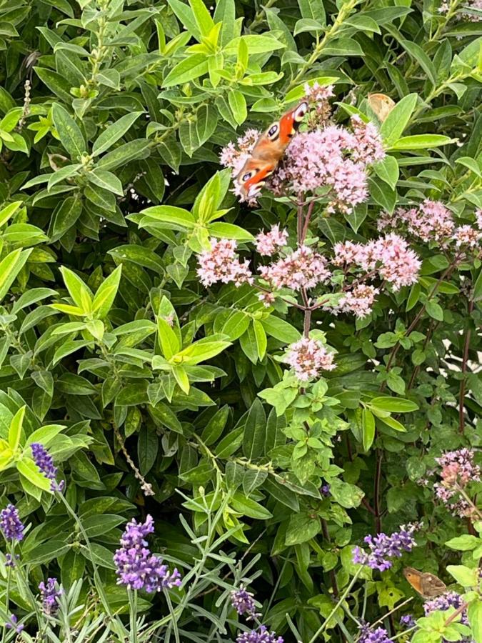 Unter den Wolken - B&B Winterberg