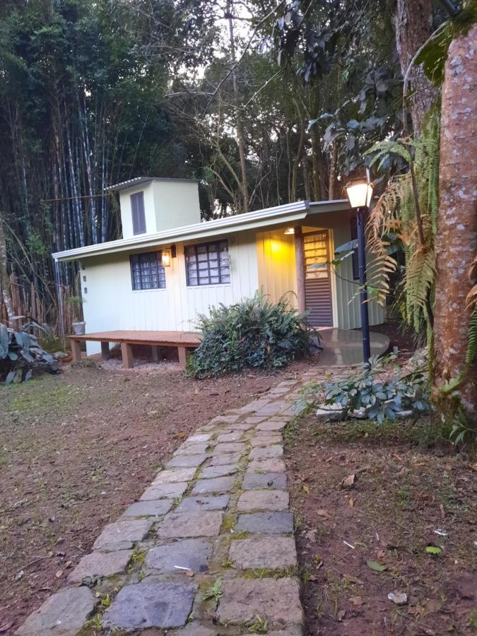 Refúgio na natureza Casa do Tecelão - B&B