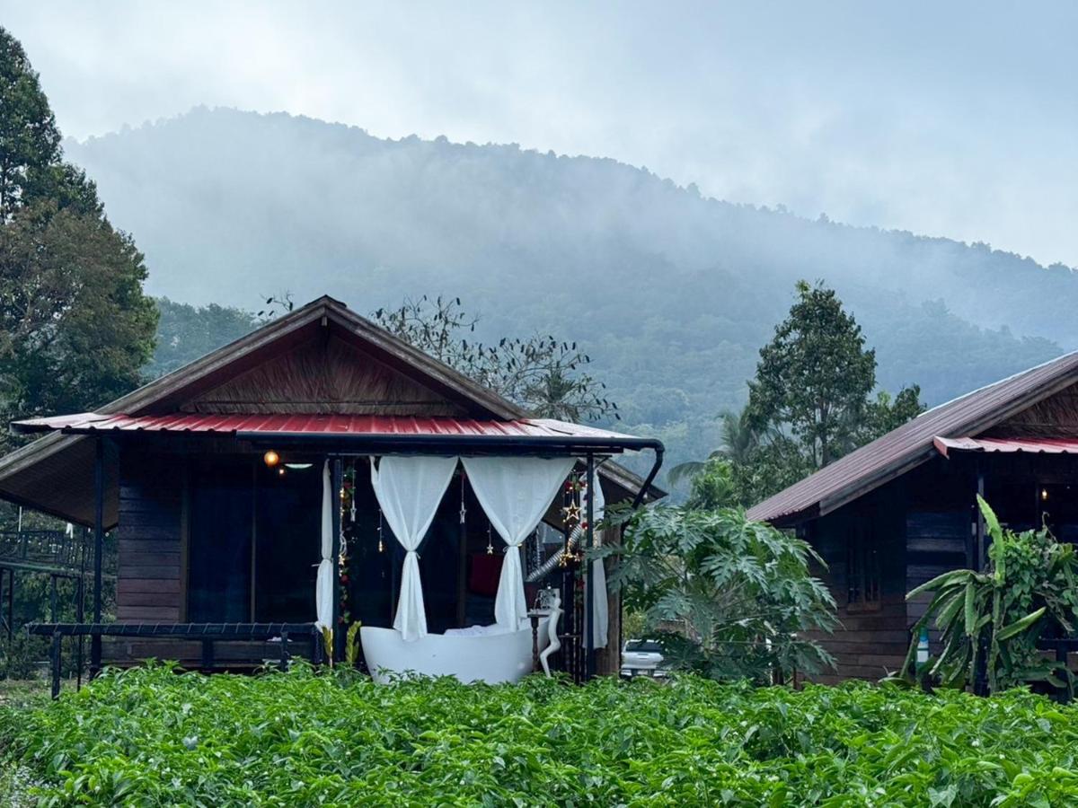 Premier Villa