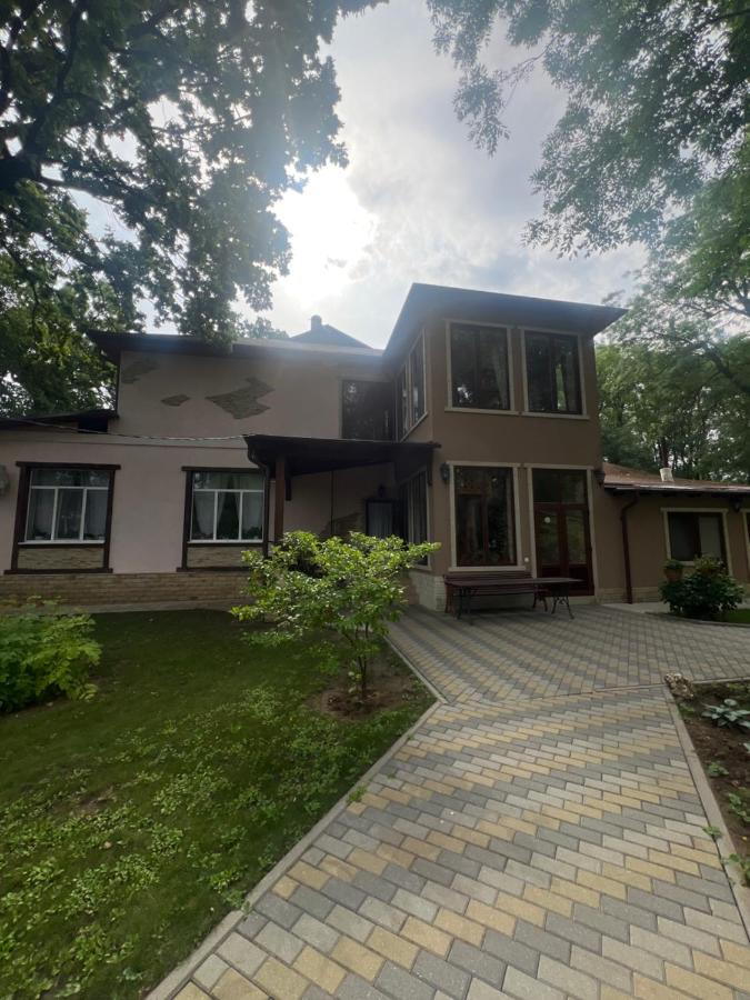 Pensiunea Dumbrava - B&B Soldanesti