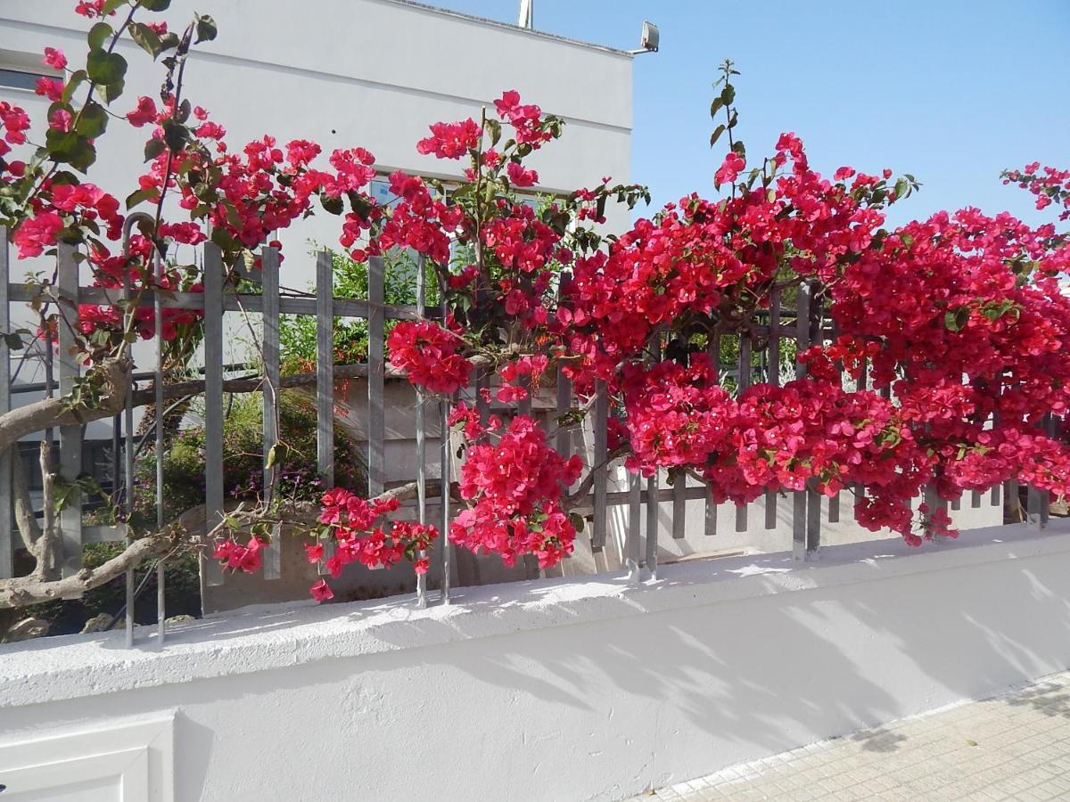 Monte Sant' Angelo - B&B