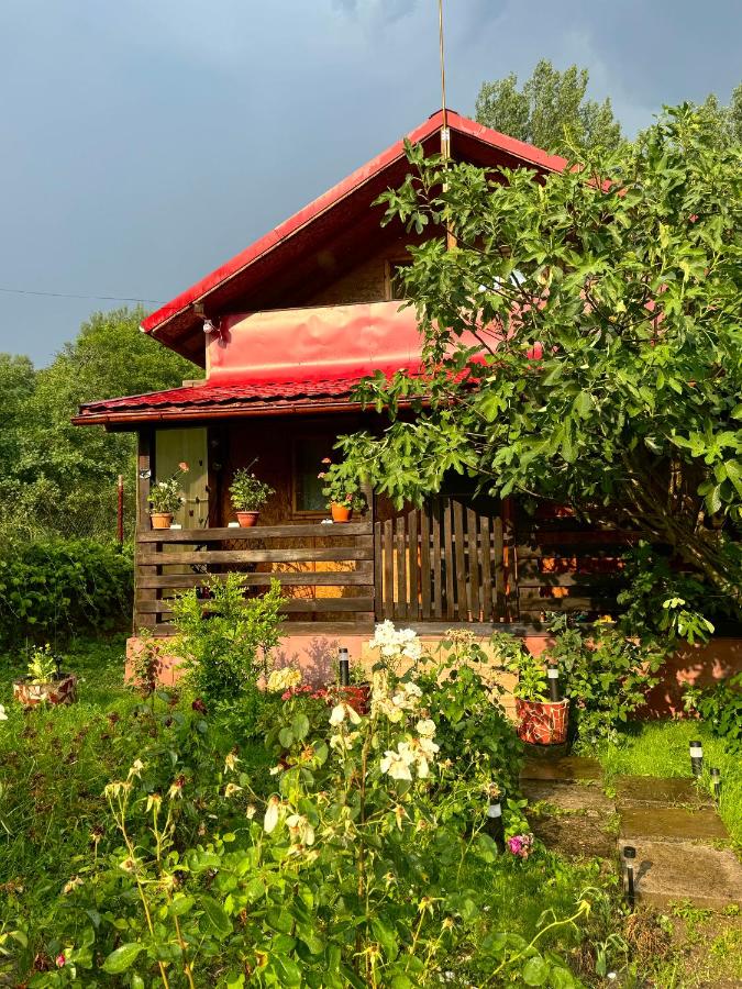 Cabana Livada Merilor - Chambres d’hôtes Băile Govora