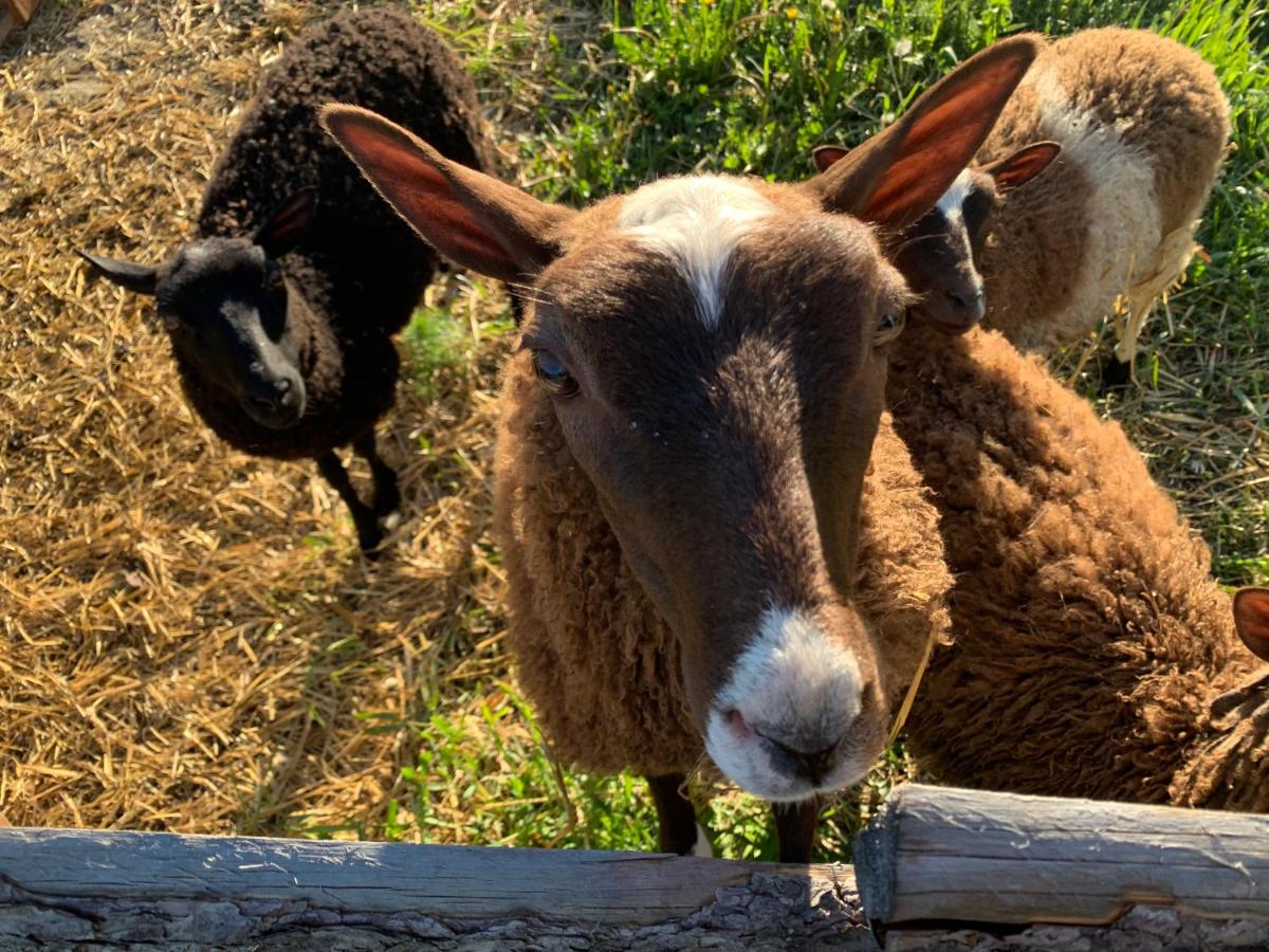 Lomahyppäys - B&B Naantali