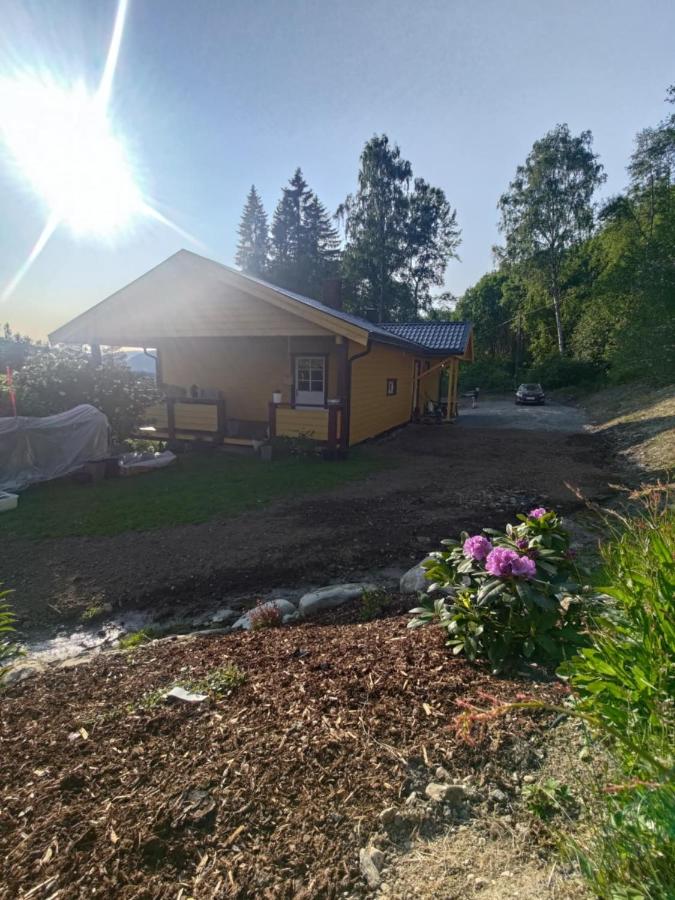 Koselig hus i Valdres - Bed and Breakfast Leira