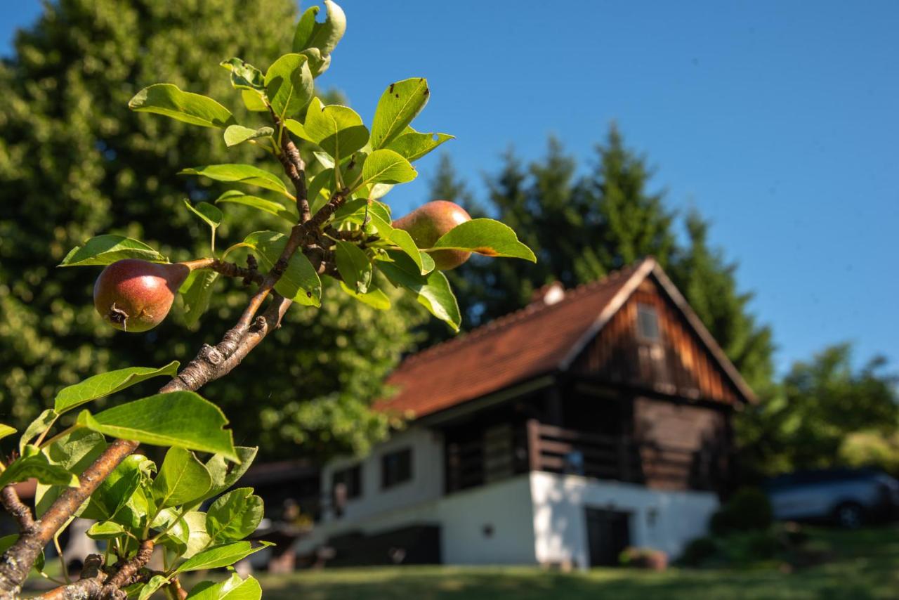 Martin's Family Cottage with Hot Tub & Views - B&B