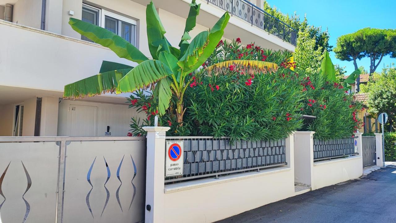 Le Conchiglie Rimini - B&B