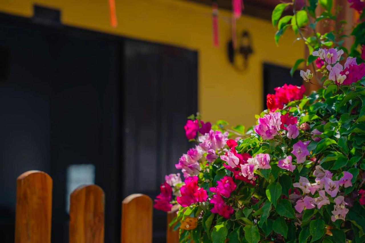 PP Guesthouse LPB - B&B