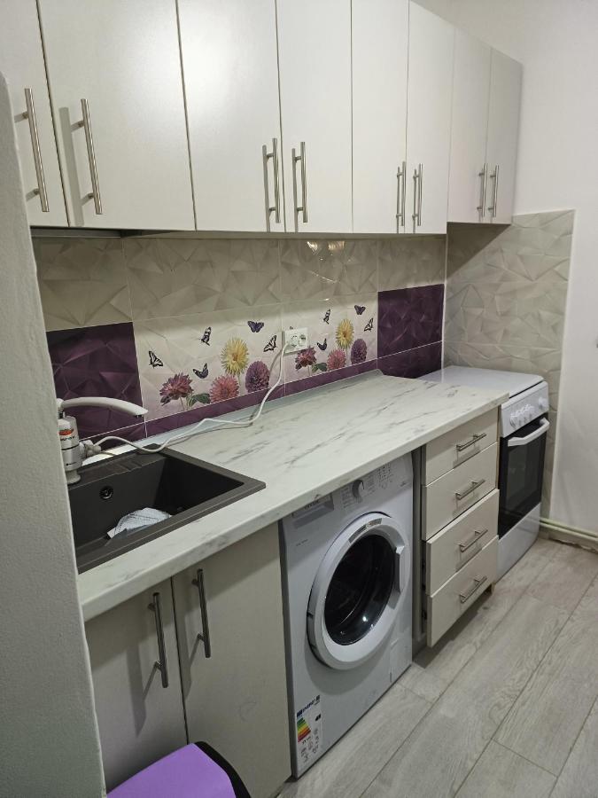 Apartament la munte - B&B Nehoiu