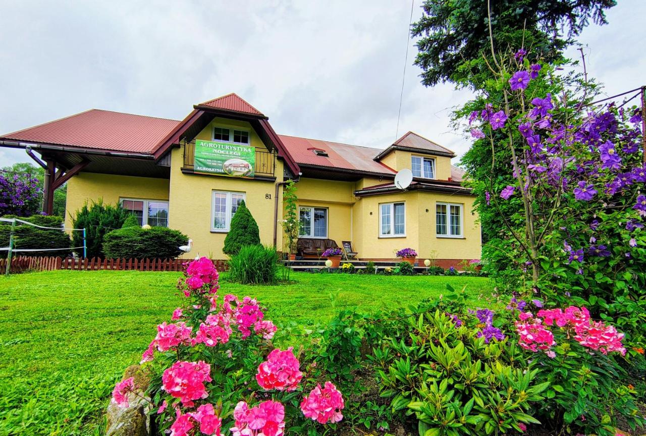 Agrokrysia - B&B Krościenko