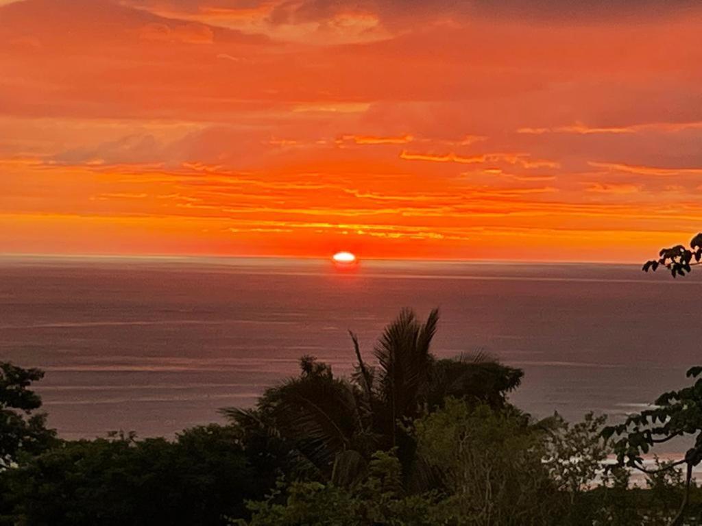 villa colibri - B&B Nicoya