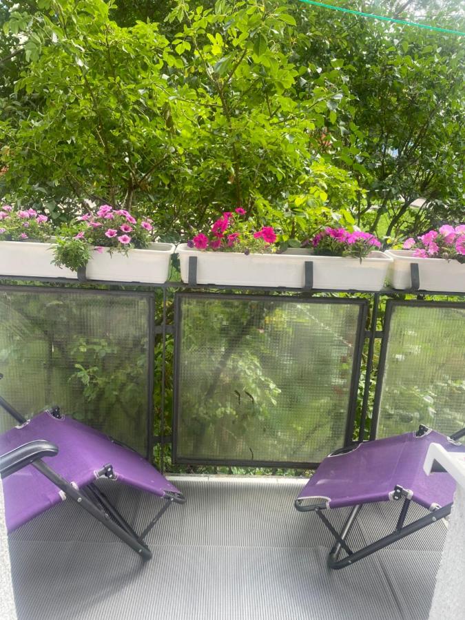 W surfiniach - B&B