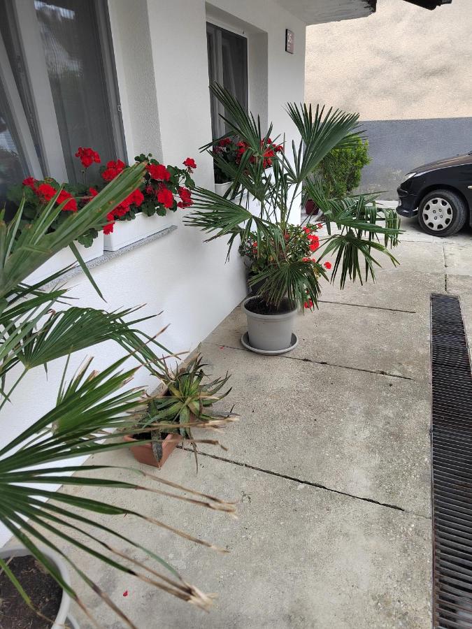 Apartman David - B&B