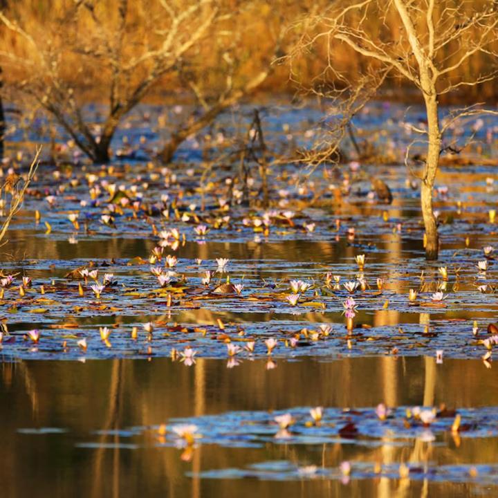 Leopard Ranch - Luxury Tented Camp - B&B