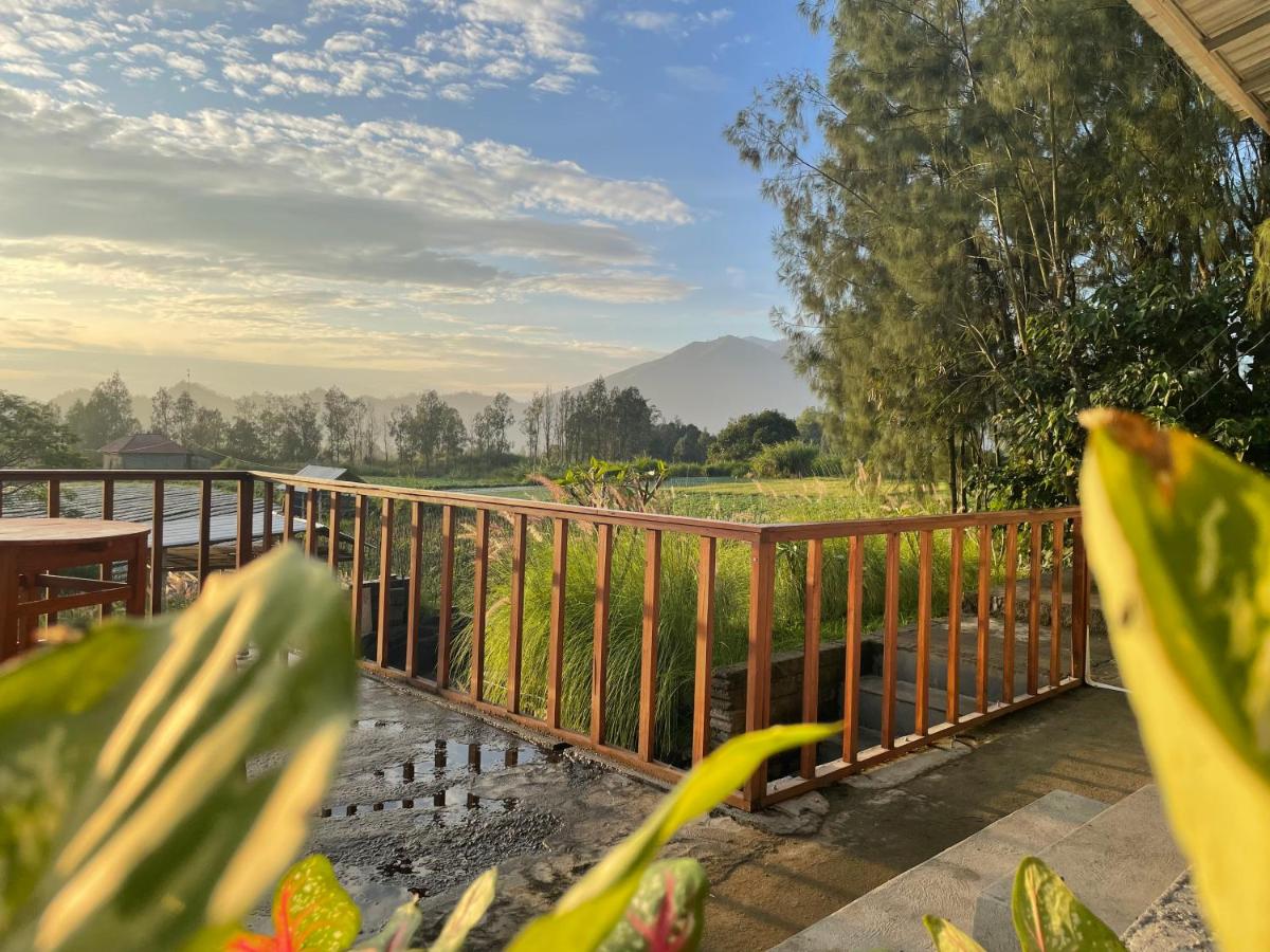The Iris Volcano - Bed and Breakfast Penelokan