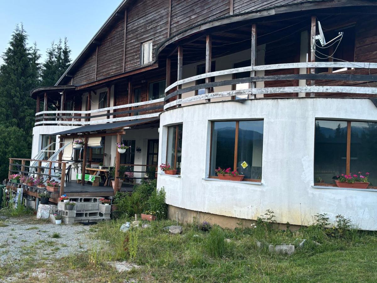 Weinesya Sunset Smida - Ferienwohnung Beliş