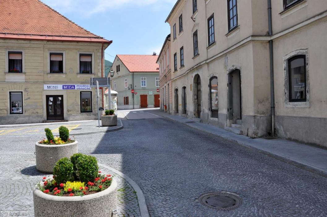 Hiša Elsbacher Laško - Chambres d’hôtes Laško
