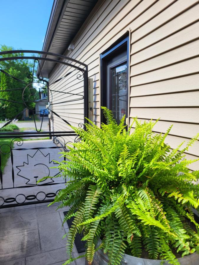Cozy Suite with HOT TUB & Highspeed Internet - B&B