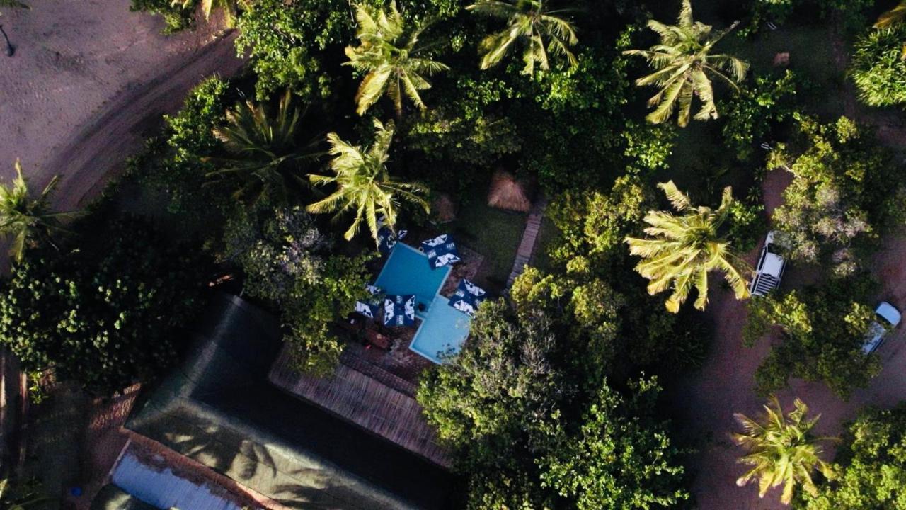 Viva O Sonho - B&B Banga