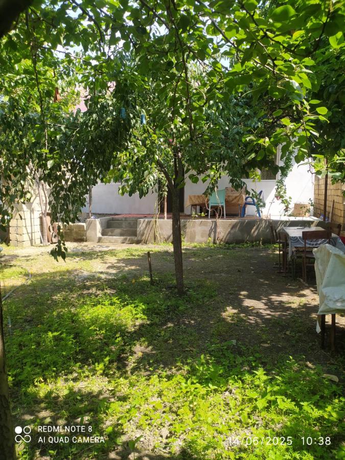 Gabala,yard, house - B&B Gabala