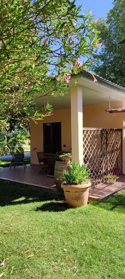Apartamento - Planta baja