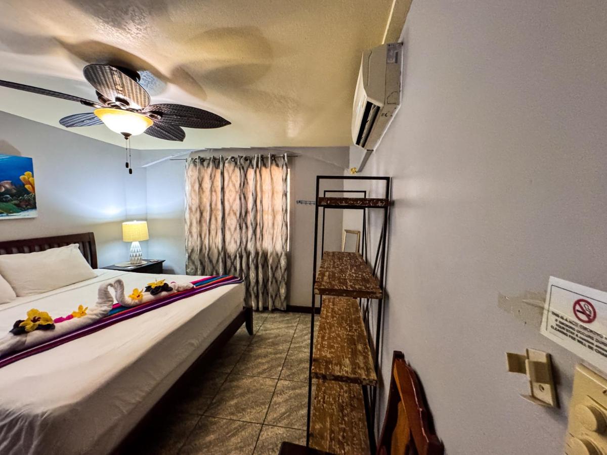 Appartement - Rez-de-Chaussée