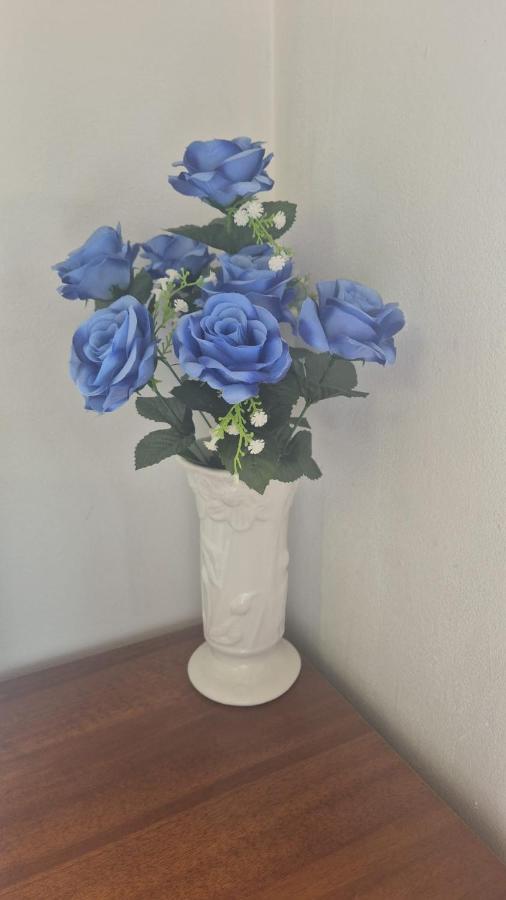 Apartamento EL PEREGRINO - B&B