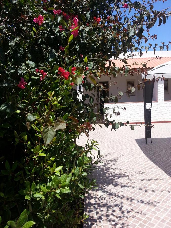 Residence Agave Lampedusa - B&B