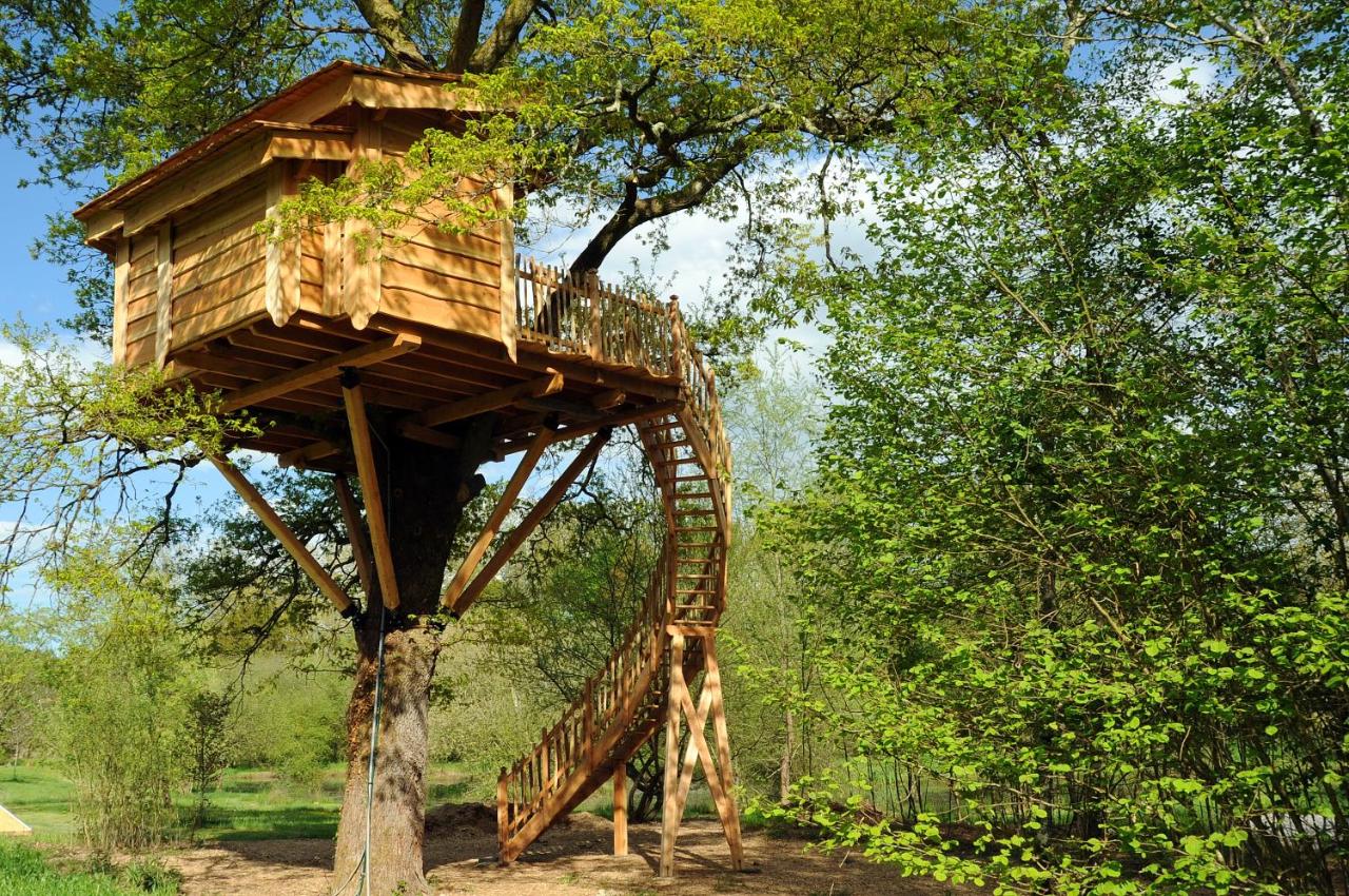 La Cabane du Vieux Chêne - B&B