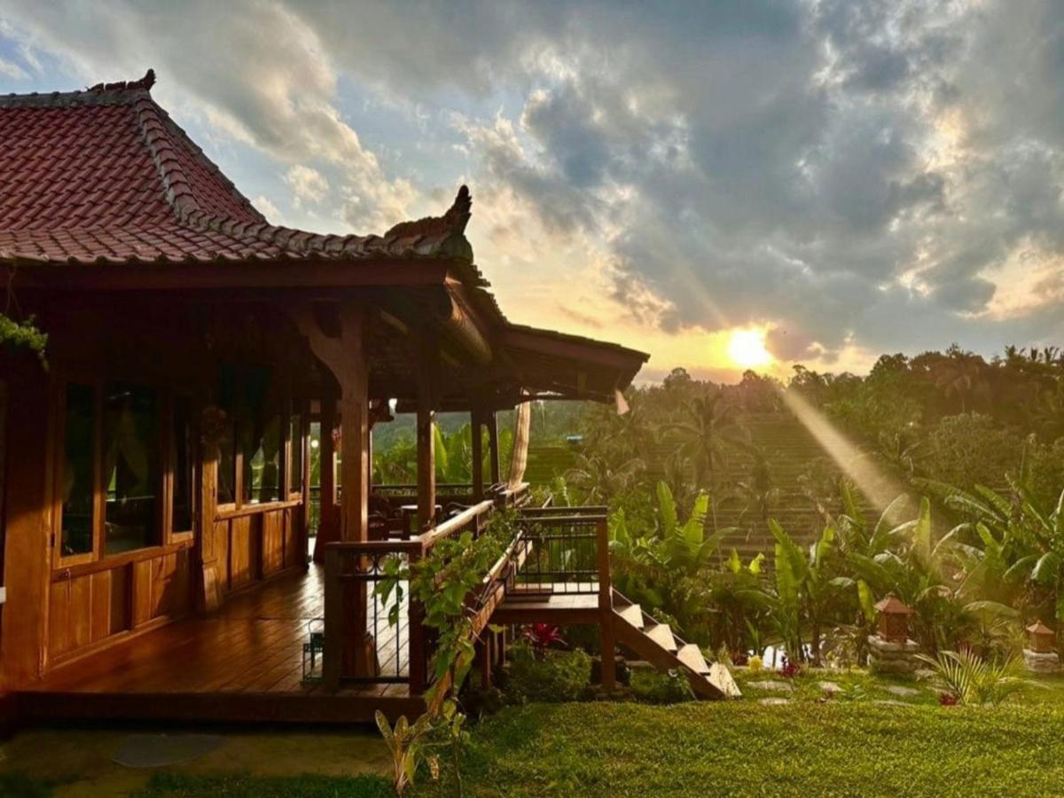 Rumah Pacung - Ferienwohnung Penebel