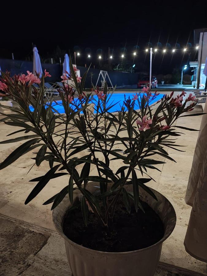 Casa Simone - Bed and Breakfast Costineşti