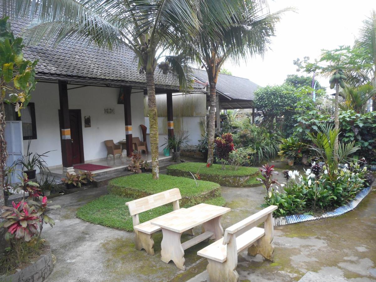 Manik Villa Besakih - B&B