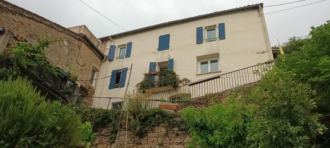 Maison de la Mûre, Haut-Languedoc Park - B&B