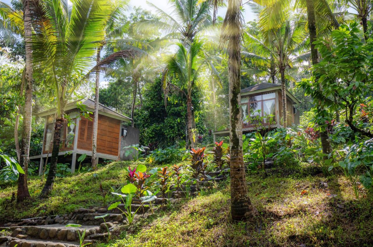 Cabin with Free Daily Balinese Experience