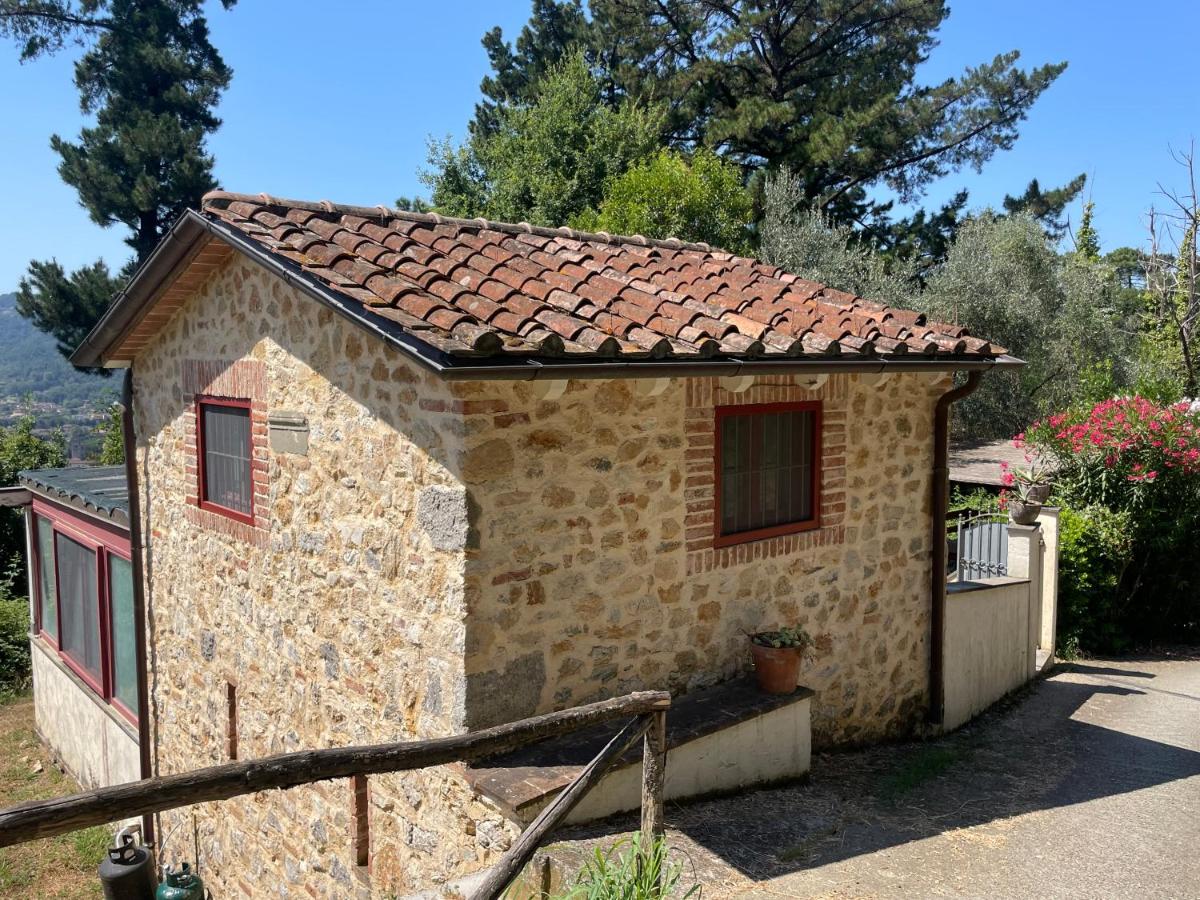 Casa Del Sole - B&B Camaiore