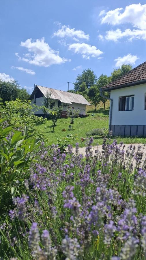Agroturism Sesuri 151 - B&B