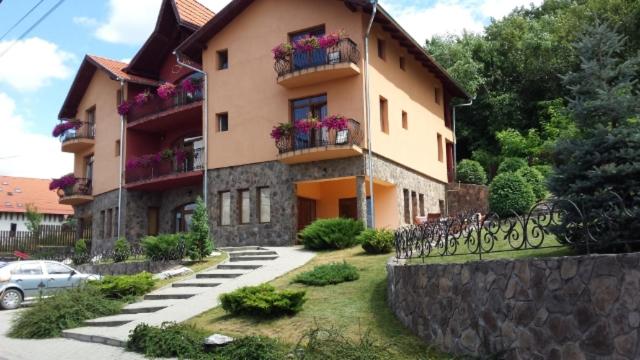 Pensiunea Fortuna - B&B Sovata