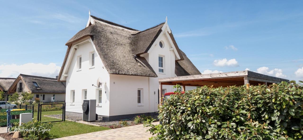 Ferienhaus Wildrose in der Puddeminer Wiek - B&B